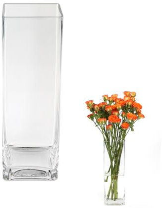 ASSRECT Jarrones de Cristal Cuadrados 25cm, Jarrón Cristal Transparente para Flores, Jarrón de Mesa en Estilo Minimalista Moderno para Fiestas Patio Oficina Hogar Cocina, 25 x 8cm