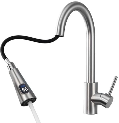 HOMELODY Wasserhahn Küche mit Temperaturanzeige, Küchenarmatur Ausziehbar, Hochdruck & LED-Display, Mischbatterie Spültischarmatur aus Edelstahl mit 2 Strahlarten, Einfache Installation