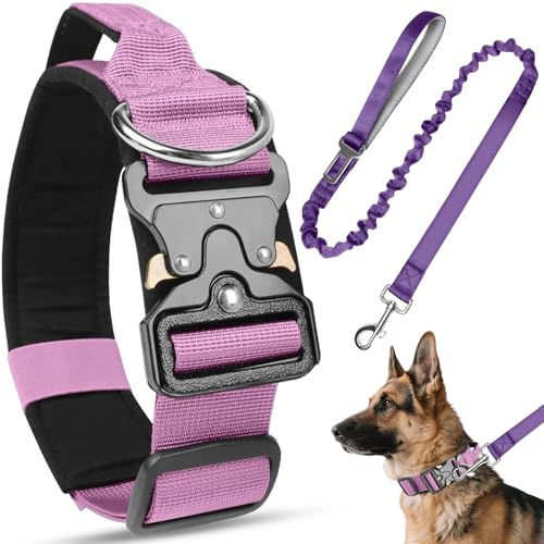 Viugex Ensemble Collier et Laisse pour Chien, Collier de Chien Tactique Militaire avec Boucle en Métal, Résistant et Réglable Collier pour Petits, Moyens et Grands Chiens (Violet, L)