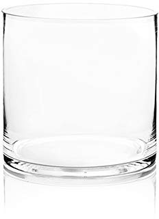 WGV klar Zylinder Glas Vase, 8 20,3 cm