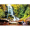 murando Fotomurales Naturaleza 300x210 cm XXL Papel pintado tejido no tejido Decoración de Pared decorativos Murales moderna Diseno Fotográfico 10110903-42