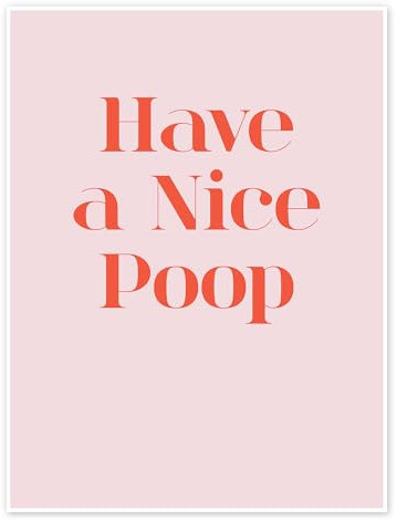 Have a Nice Poop Poster von Typobox 30 x 40 cm Rosé Typografie Wanddeko