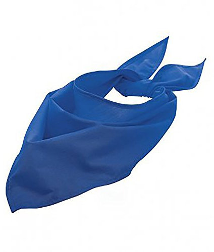 Sols Unisex Halstuch (Einheitsgröße) (Königsblau)