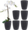 Santino ORCHIDEA Lot de 6 Pots à Orchidée avec Système de Mèche et Indicateur de Niveau d'eau (Diamètre: 15 cm, 2 L, Anthracite)