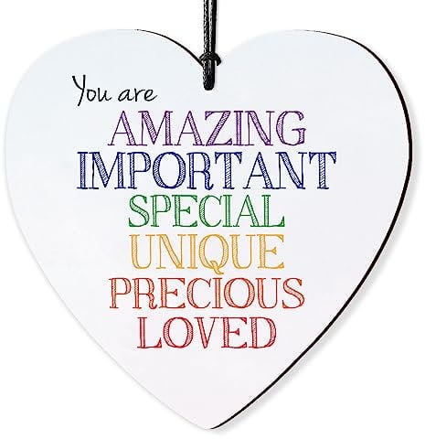 Dorothy Spring You are Amazing Important Special Loved Inspirational Hanging Wooden Heart Sign Wall Sign Love Plaque Gift for Friends Inspirational Keepsake Quote