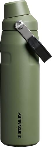 Stanley IceFlow Fast Flow Water Bottle 24 oz | Angled Spout Lid | Lightweight and Leakproof for Travel and Sports | Insulated Stainless Steel | BPA-Free | Dried Pine VRT