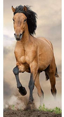 Horse Beach Towel Brown, Badetuch, Strandtuch, Pferdemotiv, Hengst, 70 cm x 140 cm, 100% Baumwolle