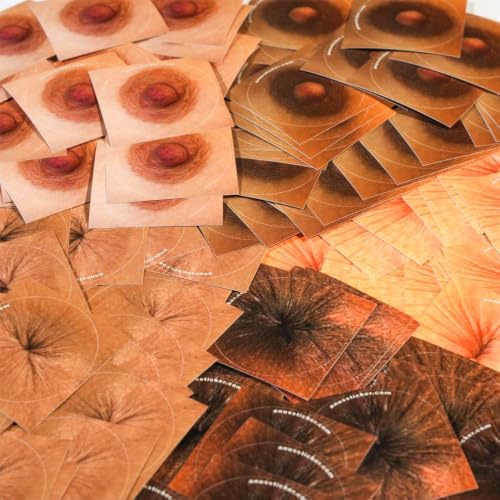 Anusticker® „Best of 5“ [Lustige Nipple & Anus Sticker – Männer & Frauen] – Gag-Aufkleber für Party, JGA, Festival, Karneval – glänzend, Ø 5 cm (250 Sticker im Mix)