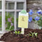 Die Stadtgärtner Saatgruß - Bee happy - Kleines Geschenk mit Wildblumen-Samen - Aufmerksamkeit, Dankeschön, Gruß, Mitbringsel, Gastgeschenk