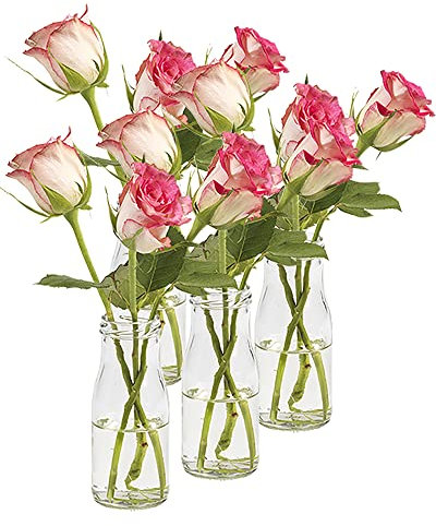 36 Stück Runde | Typ 156 | Mini Vasen Glasfläschchen kleine | Dekoflaschen Flasche | Väschen Vase Glasflaschen Blumenvase (36 Stück)