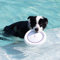 GiGwi Frisbee für Hunde, Ball, Flugscheibe, Wurfring, Disc, Pop-pals, aus E-TPU (Infinergy), extrem elastisch und widerstandsfähig, ideal zum Apportieren