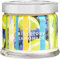 PartyLite Blueberry Limonade 3 Dochte Blaubeere Zylindrisch Container-Kerze 25-45 Stunden Gartenparty Duft