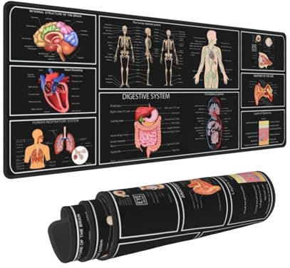 Medizinische Anatomie, menschliche Physiologie, Medizin, Arzt, Assistent, Anatomie-Modell, Physiologie, Gaming-Tastatur, Mauspad, Schreibtischunterlage, riesige erweiterte XL, genähte Kanten,