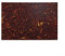 44 x 29 cm blanko DIY Pickguard für E-Gitarre, Scratchplate Material (braune Schildkröte)