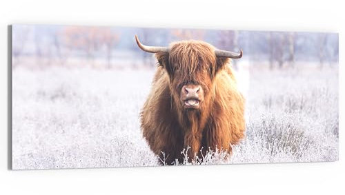 DEQORI Glasbild Echtglas | Motiv Frostiger Hochlandblick | horizontal einteilig 125x50 cm | schöne Dekoration | Wandbild für Wohnzimmer, Schlafzimmer, Flur & Küche | moderne Wanddeko