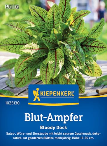 Kiepenkerl Blut-Ampfersamen Bloody Dock 102513