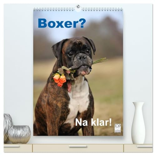 Boxer? Na klar! (hochwertiger Premium Wandkalender 2026 DIN A2 hoch), Kunstdruck in Hochglanz: Boxer, der Clown unter den Hunden. (CALVENDO Tiere)