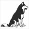 INDIGOS UG Aufkleber - Autoaufkleber - JDM - Die Cut - Siberian Husky Decal Dog Auto Window Laptop Sticker - schwarz - 96mm x88mm