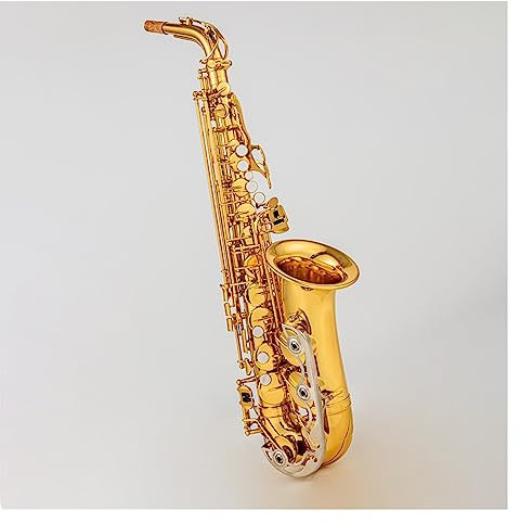 Sax Musical Instruments Elektrophorese-Gold-Finish Alt-Eb-Saxophon Mit Mundstückrohr Und Koffer