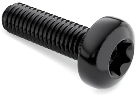 Vis à tête cylindrique Torx M5/M6/M8/M10, boulons à tête ronde Torx internes, 10 pièces, M6x25mm