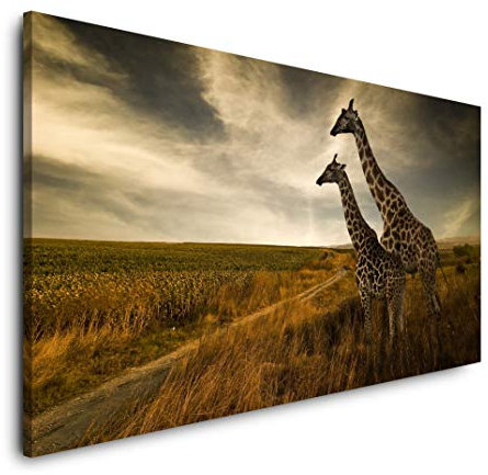 Paul Sinus Art 120x60cm Giraffen im Sonnenuntergang Afrika Panorama Leinwand Bild XXL Format Wohnzimmer Deko Kunstdrucke