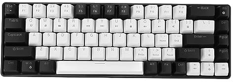 Bewinner Clavier Mécanique à 68 Touches RGB Light Double Color Gaming Keyboard avec Rétroéclairage Bleu Glacier, Design Ergonomique et Câble Détachable, Compatible avec, OS X, (Noir Blanc)