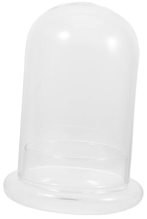 Abaodam Elegant Desk Terrarium Jar Plant Holder Glass Vase for Flowers Micro Landscape