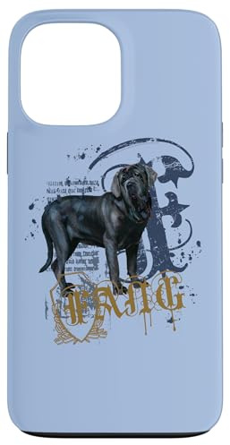 Harry Potter Fang Case for iPhone 13 Pro Max
