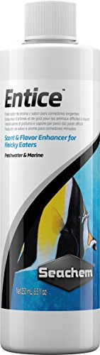 Seachem Entice Flavour Enhancer, 250 ml