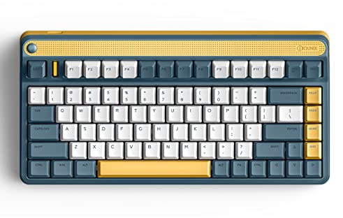 iQunix A80 EXPLORER Mechanical Gaming Keyboard, TKL Wireless 2.4GHz/Bluetooth 5.0/Wired Type-C Keyboard with 83 Keys, Tilted F-Row PBT Keycaps Hot-Swappable Cherry MX Reds, for PC/macOS