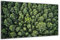 DARO Design - Wand-Bild auf 6mm HDF 40x30 cm Wald von oben - Wand-Deko Bilder Geschenk