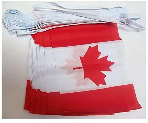 AZ FLAG Ghirlanda 6 Metri 20 Bandiere Canada 21x15cm, Bandiera Canadese 15 x 21 cm - Festone Bandierine