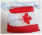 AZ FLAG Ghirlanda 6 Metri 20 Bandiere Canada 21x15cm, Bandiera Canadese 15 x 21 cm - Festone Bandierine