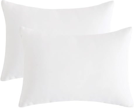 DSAoTeng Lot de 2 petits oreillers de voyage en microfibre doux et lavable pour le cou, les genoux et les lombaires, 28 x 17,8 cm, pour la sieste, le bureau, la voiture, le camping (blanc)