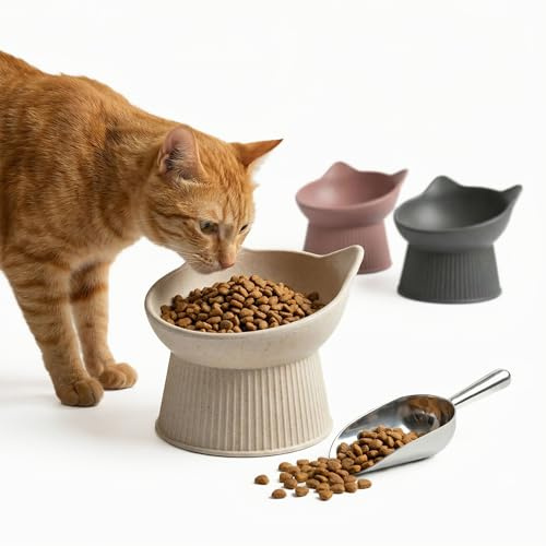 PiuPet® Katzennapf Erhöht - Ergonomischer Futternapf Katze | Schonender Futternapf aus Bambus & Kunststoff, 15 Grad Neigung, 150 ml, Schnurrhaarfreundlich, Rutschfest, Spülmaschinenfest