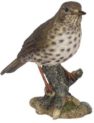 Vivid Arts Garden Birds (Song Thrush)