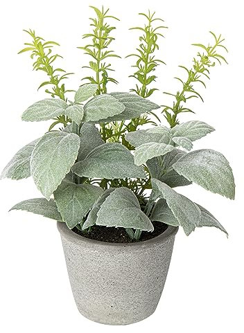 Hollyone Petite plante artificielle givrée de 25 cm dans un pot de ciment réaliste pour la maison, le bureau, la cuisine, la salle de bain, le salon, l'étagère, le bureau