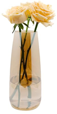 Blumenvase Glas, Ins Moderne Klarglas Vase, 22 cm Hoch Glasvase für Tischdeko, Dekorative Vasen für Pampasgras, Tulpen, Orchideen, Rosen, Trockenblumen (Bernstein)