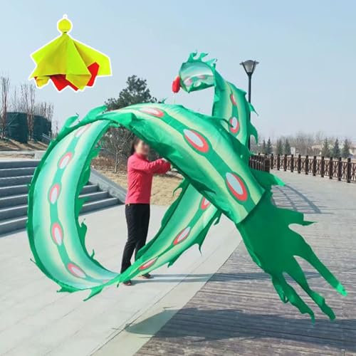 PZOFERLIN Nastro per Danza del Drago Borsa da Viaggio con Palla zavorrata Longboi Phoenix Feather Dance Fitness Ribbon(Green,6M)