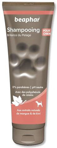 BEAPHAR – Shampoing Premium brillance du pelage pour chien – Aux polyphénols de raisin, aux extraits naturels de Mangue & de Kiwi – Donne éclat et brillance au poil –pH neutre et sans parabens– 250 ml
