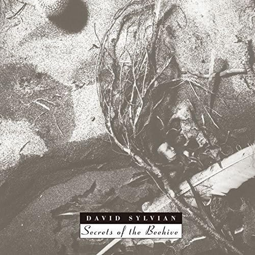 Secrets of the Beehive