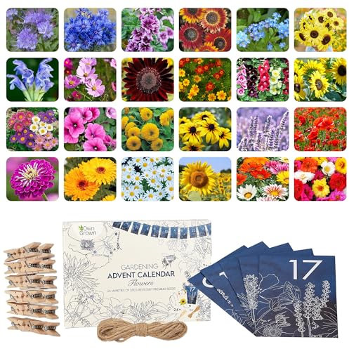 OwnGrown Flower Seeds Advent Calendar for 2024-24 Varieties of Wild Flower Plant Seeds DIY Kit - Garden Gift Decorations - Housewarming Gardening Gifts for Men and Women - Wildflower Organic Seeds