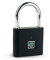 Fingerabdruck Schloss,Fingerabdruck Vorhängeschloss,Smart Schloss mit Wasserdicht,USB-Aufladung Biometrisch Hohe Sicherheitsverriegelung für Gym Locker,Gepäck,Spind(Schwarz)