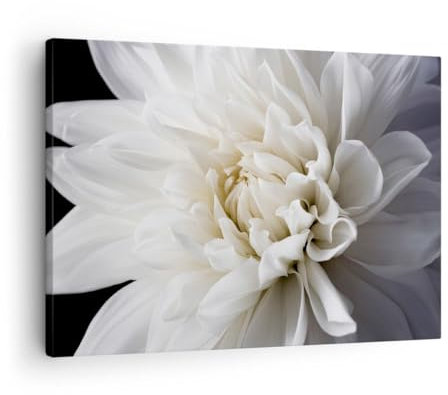 Bilder auf Leinwand Blume Dahlie Natur Leinwandbild mit Rahmen 70x50cm Wandbilder Dekoration Wohnzimmer Schlafzimmer Küche Deko Klein Wanddeko Bild Wand Kunstdruck Art Wall Decor Canvas AA70x50-5229