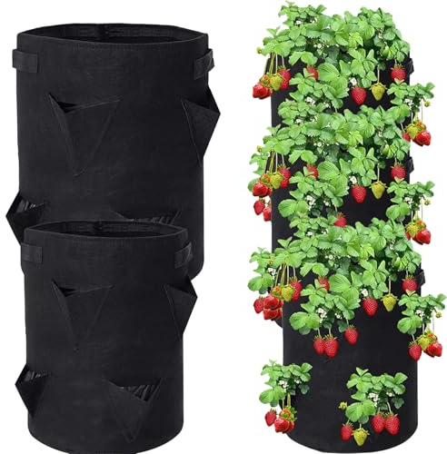 YUEcthynous Pflanzsack,2 Stück Pflanztasche aus Vliesstoff Pflanztöpfen, Pflanzenbehälter mit Griffe für Tomaten, Blumen, Pflanzen und mehr, Schwarz (C)