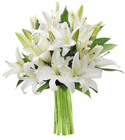 KaBloom - Pure Love White Lily Bouquet of White Lilies, 10 Count without Vase - Fresh Flowers for Birthday, Valentine's & Mother's Day
