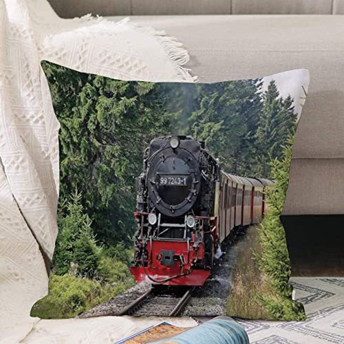 Kissenbezug 45x45 cm,Dampfzug Industriezeitalter Dampfmaschine Zug Oldtimer Eisenbahn Lokom,Outdoor Kissen Kissenbezüge Kissenhülle Sofa Kissen dekokissen Zierkissen für Wohnzimmer Garten deko draußen