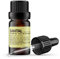 Hogdseirrs Doratelier Santal Oil Nischenduft, rauchig, klassisch, luxuriös, Papyrus, Kardamom, Sandelholz, ätherische Öle für alle Duftprojekte.