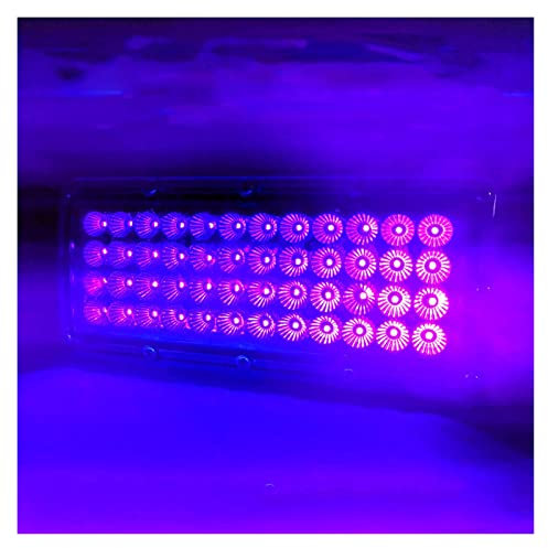 OUTFYT 500W 395nm 405nm 365nm Led UV-GEL-Härtungslampe Druckmaschine Glastinte Siebdruckversion UV-Härtungslampe UV-Harzlicht(Color:405nm)