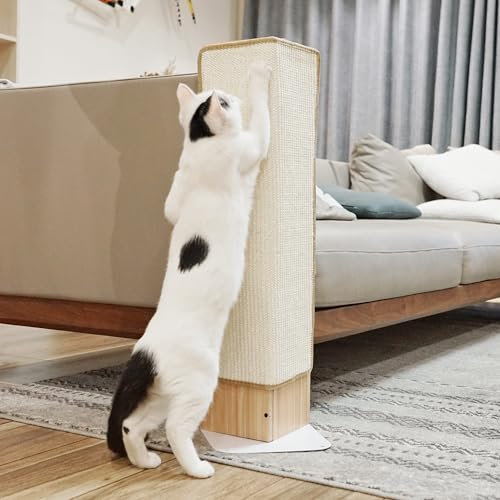 PETKARAY Kratzbrett Katzen, Eckkratzbaum aus Sisal, Katzenkratzbaum für den Innenbereich, Wandkratzbaum, Möbelschutz mit Katze, Mintgrün (große Größe)